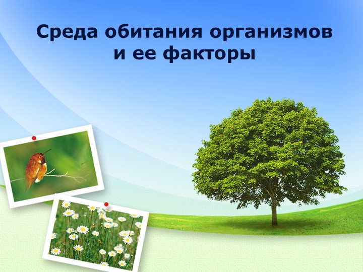 Презентация к уроку "Среда обитания организмов" - Скачать школьные презентации PowerPoint бесплатно | Портал бесплатных презентаций school-present.com