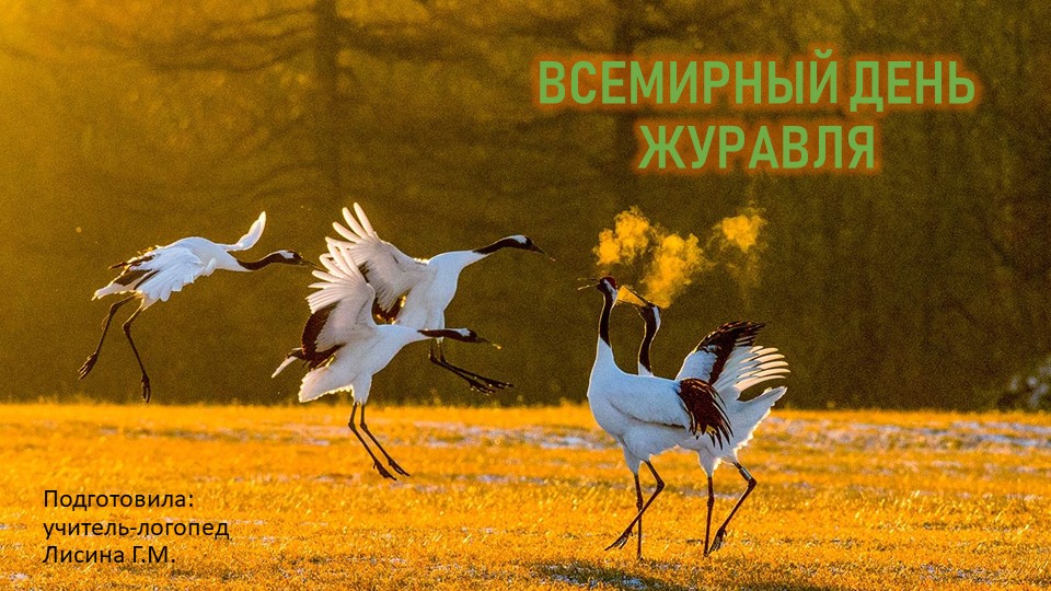 Беседа с детьми старшей логопедической группы "Всемирный день журавля" - Скачать школьные презентации PowerPoint бесплатно | Портал бесплатных презентаций school-present.com