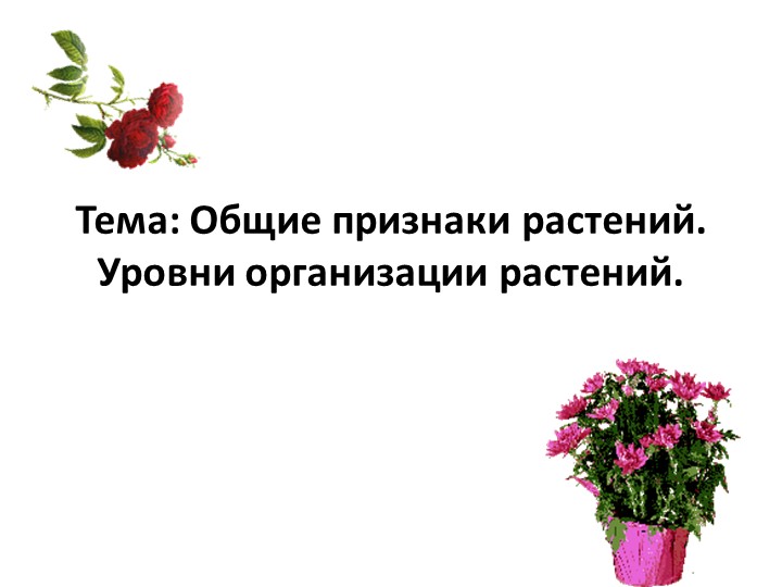 Презентация на тему: "Общие признаки растений" (6 класс) - Скачать школьные презентации PowerPoint бесплатно | Портал бесплатных презентаций school-present.com