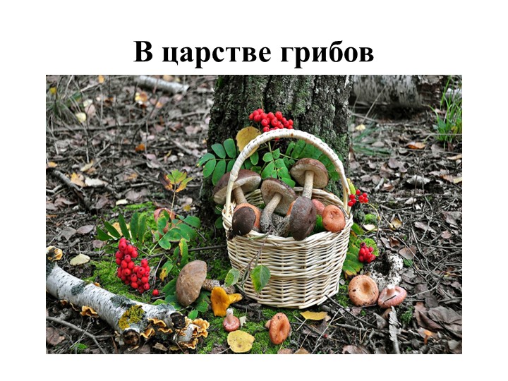 Презентация по ознакомлению с окружающим миром "В царстве грибов" - Скачать школьные презентации PowerPoint бесплатно | Портал бесплатных презентаций school-present.com