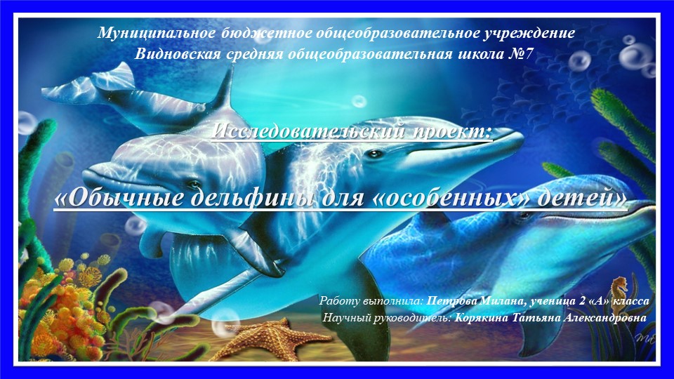 Проектная работа "Удивительный мир дельфинов" - Скачать школьные презентации PowerPoint бесплатно | Портал бесплатных презентаций school-present.com