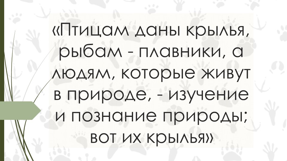 Введение. Биология 7 класс - Скачать школьные презентации PowerPoint бесплатно | Портал бесплатных презентаций school-present.com