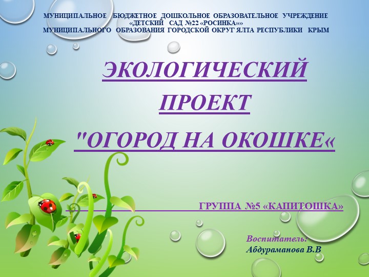 Огород на подоконнике проект в старшей группе - Скачать школьные презентации PowerPoint бесплатно | Портал бесплатных презентаций school-present.com