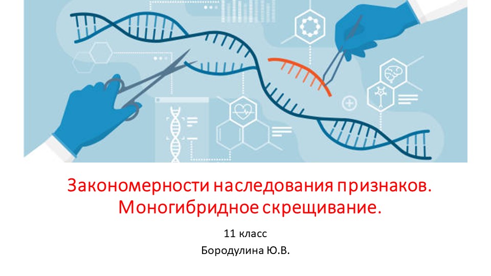 Презентация по биологии на тему "Закономерности наследования признаков. Моногибридное скрещивание." (11 класс) - Скачать школьные презентации PowerPoint бесплатно | Портал бесплатных презентаций school-present.com