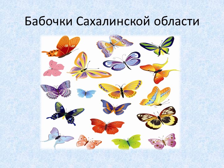Презентация "Бабочки Сахалинской области" - Скачать школьные презентации PowerPoint бесплатно | Портал бесплатных презентаций school-present.com
