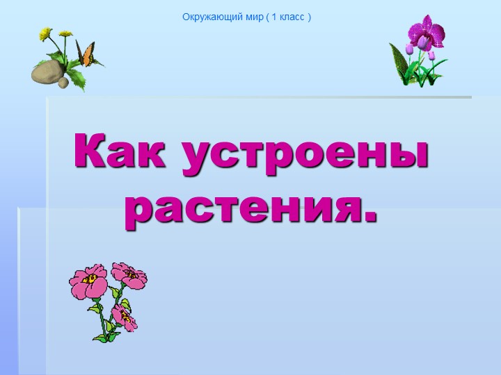 Презентация к уроку "Как устроено растение" - Скачать школьные презентации PowerPoint бесплатно | Портал бесплатных презентаций school-present.com