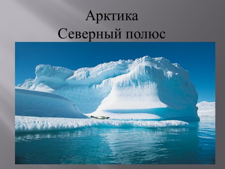 Презентация по окружающему миру для старших дошкольников: "Арктика. Северный полюс." - Скачать школьные презентации PowerPoint бесплатно | Портал бесплатных презентаций school-present.com