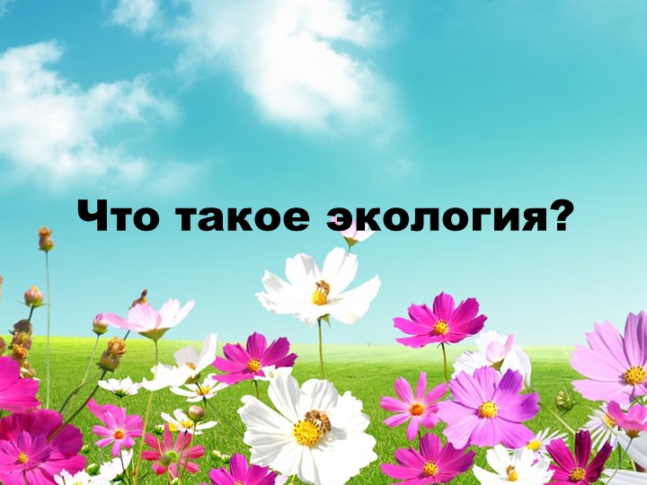 Презентация на тему: " Что такое экология" 4 класс - Скачать школьные презентации PowerPoint бесплатно | Портал бесплатных презентаций school-present.com