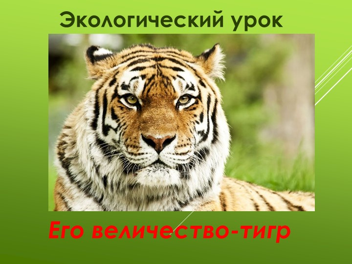 Презентация к экологическому уроку на тему"Его величество - тигр" (3 класс) - Скачать школьные презентации PowerPoint бесплатно | Портал бесплатных презентаций school-present.com