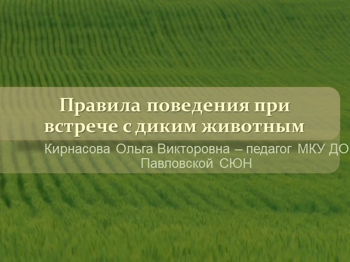 Презентация на тему "Правила поведения при встрече с дикими животными" - Скачать школьные презентации PowerPoint бесплатно | Портал бесплатных презентаций school-present.com