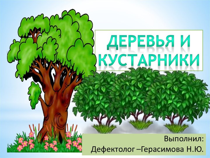 Презентация "Деревья и кустарники" - Скачать школьные презентации PowerPoint бесплатно | Портал бесплатных презентаций school-present.com
