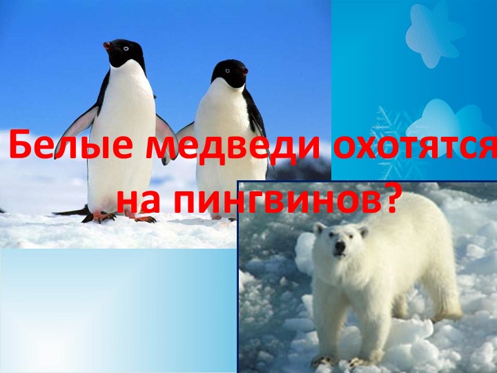 Презентация по окружающему миру на тему "Где зимуют белые медведи" - Скачать школьные презентации PowerPoint бесплатно | Портал бесплатных презентаций school-present.com