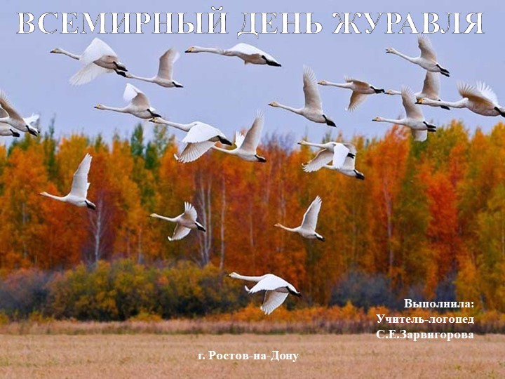 Презентация "Всемирный день журавля" - Скачать школьные презентации PowerPoint бесплатно | Портал бесплатных презентаций school-present.com