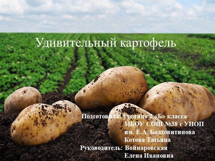 Презентация по окружающему миру на тему :"Удивительный картофель". (2-4 класс) - Скачать школьные презентации PowerPoint бесплатно | Портал бесплатных презентаций school-present.com