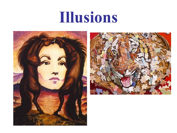 Презентация к уроку 9 класс Illusion - Скачать школьные презентации PowerPoint бесплатно | Портал бесплатных презентаций school-present.com