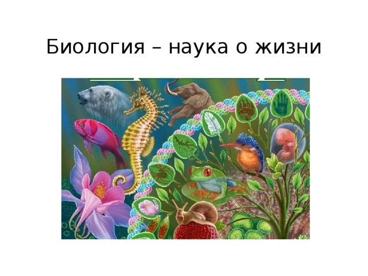 Признаки живого. Живая и неживая природа - Скачать школьные презентации PowerPoint бесплатно | Портал бесплатных презентаций school-present.com