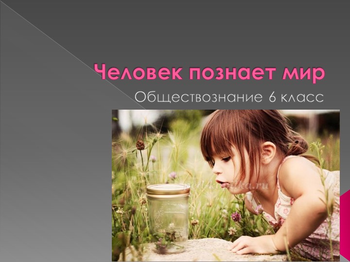 Тема урока "Человек познает мир" - Скачать школьные презентации PowerPoint бесплатно | Портал бесплатных презентаций school-present.com