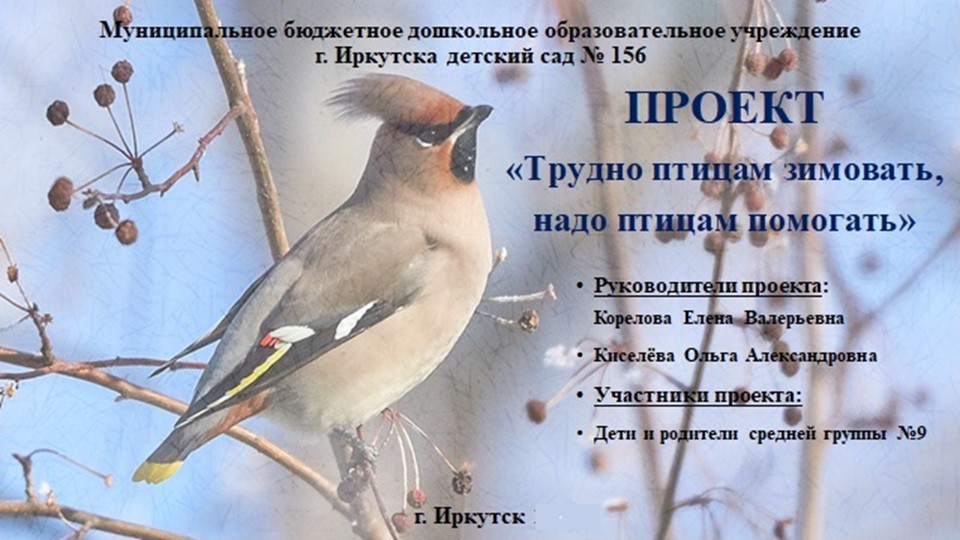 Презентация проекта "Трудно птицам зимовать, надо птицам помогать" - Скачать школьные презентации PowerPoint бесплатно | Портал бесплатных презентаций school-present.com