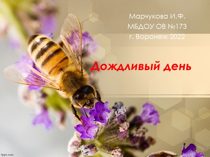 Рисование "Дождливый осенний день". - Скачать школьные презентации PowerPoint бесплатно | Портал бесплатных презентаций school-present.com