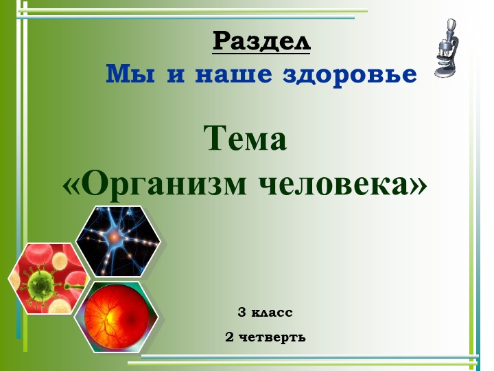 Презентация к уроку окружающего мира 3 класс "Организм человека" - Скачать школьные презентации PowerPoint бесплатно | Портал бесплатных презентаций school-present.com