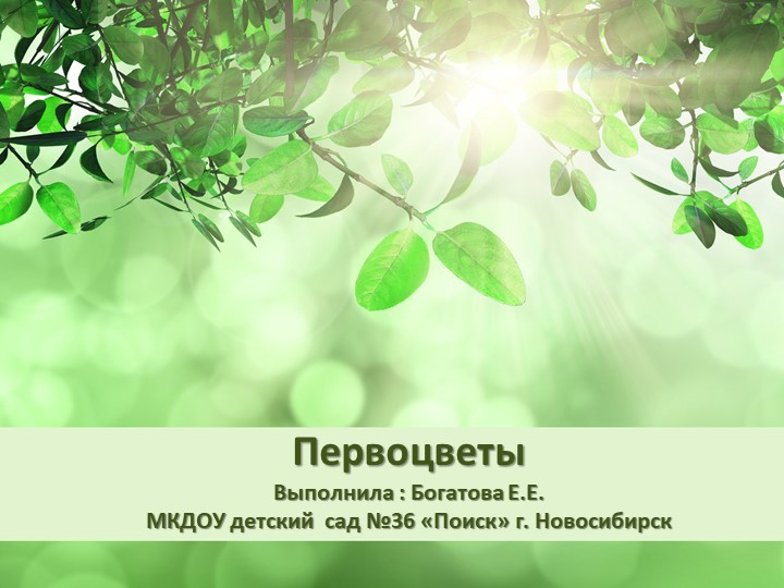 Презентация для детей средней группы "Первоцветы" - Скачать школьные презентации PowerPoint бесплатно | Портал бесплатных презентаций school-present.com