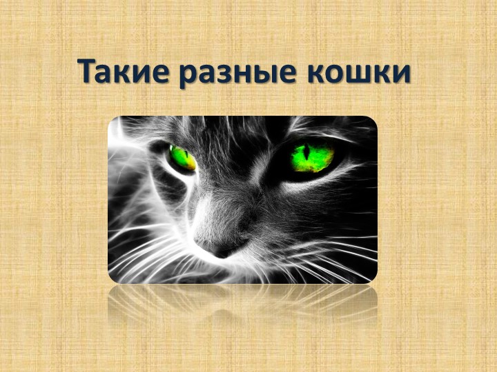 Презентация "Такие разные кошки"ки" - Скачать школьные презентации PowerPoint бесплатно | Портал бесплатных презентаций school-present.com
