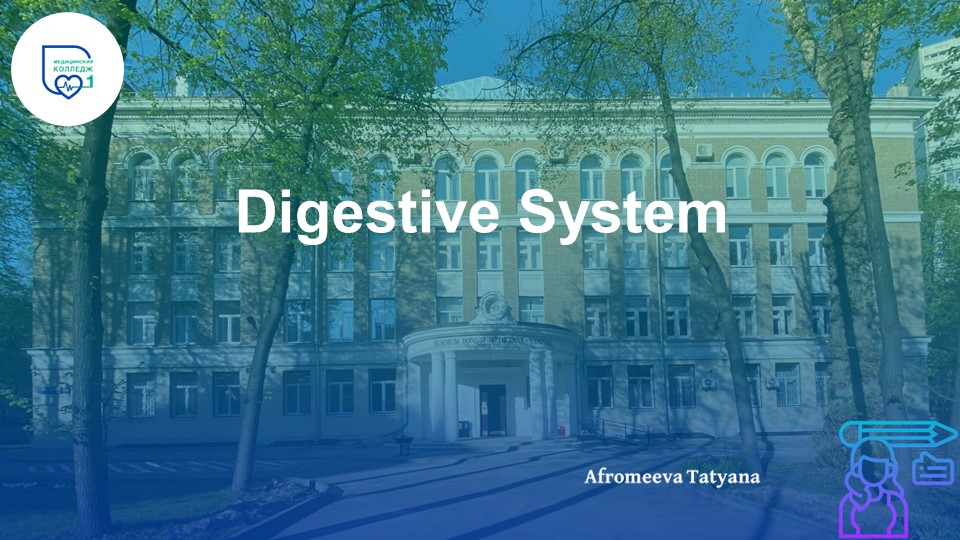 Презентация по английскому языку "Digestive System" - Скачать школьные презентации PowerPoint бесплатно | Портал бесплатных презентаций school-present.com
