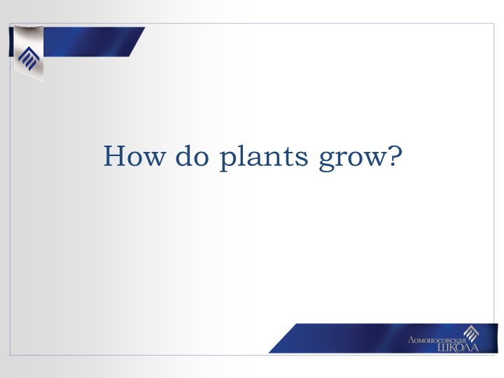 Урок в 3-4 классе по теме: "How do plants grow?" - Скачать школьные презентации PowerPoint бесплатно | Портал бесплатных презентаций school-present.com