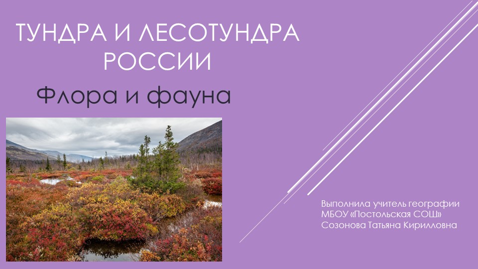 Презентация "Тундра и лесотундра России. Флора и фауна" - Скачать школьные презентации PowerPoint бесплатно | Портал бесплатных презентаций school-present.com