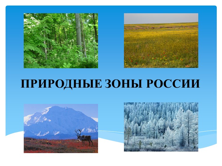Презентация по биологии на тему "Природные зоны России" (5 класс) - Скачать школьные презентации PowerPoint бесплатно | Портал бесплатных презентаций school-present.com