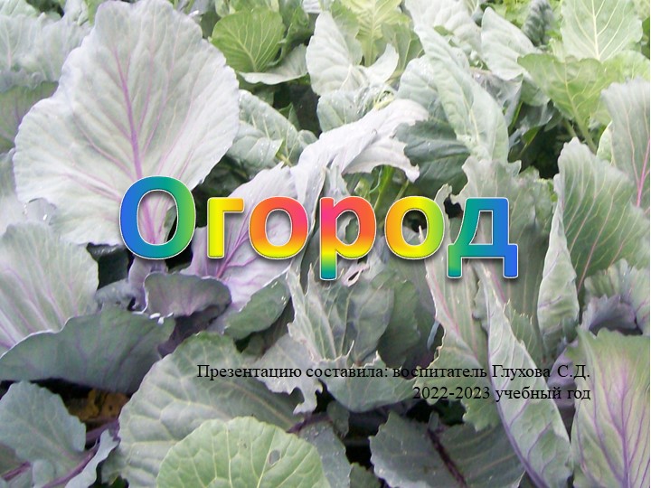 Презентация к воспитательному часу " Огород". - Скачать школьные презентации PowerPoint бесплатно | Портал бесплатных презентаций school-present.com
