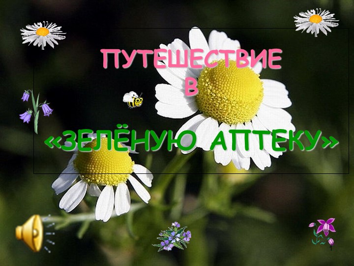 Презентация-путешествие "В лесную аптеку" - Скачать школьные презентации PowerPoint бесплатно | Портал бесплатных презентаций school-present.com