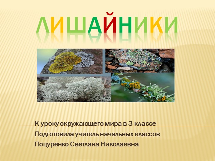 Презентация к уроку окружающего мира на тему "Лишайники" (3 класс) - Скачать школьные презентации PowerPoint бесплатно | Портал бесплатных презентаций school-present.com