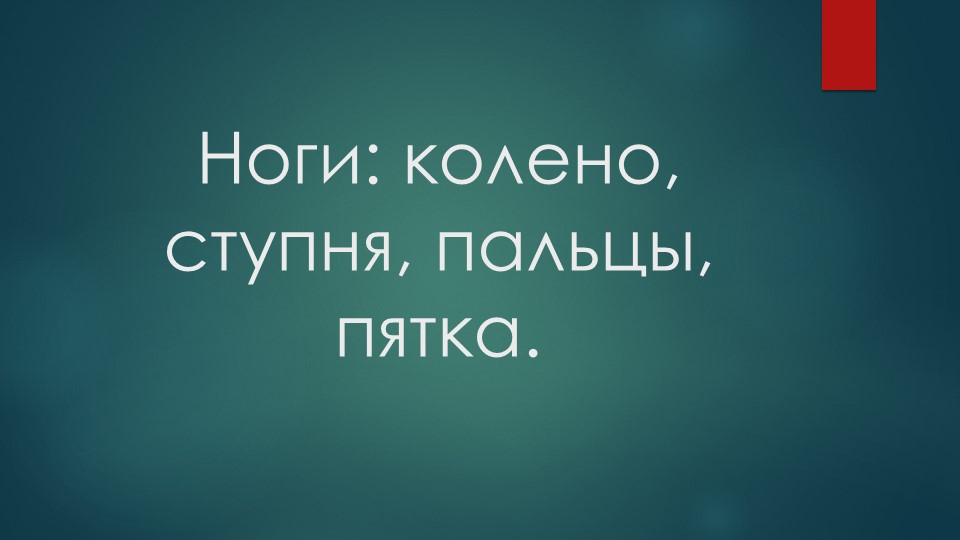 Презентация к уроку "Человек" по теме "Ноги: колено, ступня, пальцы, пятка" - Скачать школьные презентации PowerPoint бесплатно | Портал бесплатных презентаций school-present.com