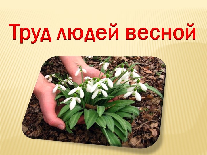 Презентация на тему "Труд людей весной"(группа предшкольной подготовки) - Скачать школьные презентации PowerPoint бесплатно | Портал бесплатных презентаций school-present.com
