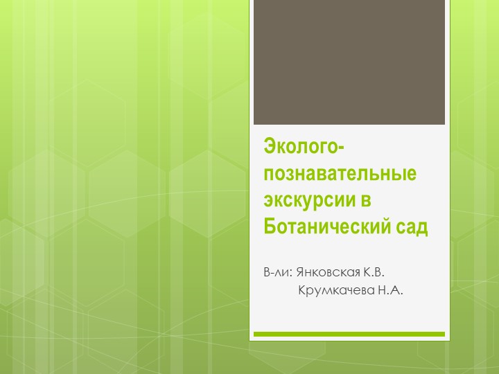 Эколого-познавательные экскурсии в Ботанический сад - Скачать школьные презентации PowerPoint бесплатно | Портал бесплатных презентаций school-present.com