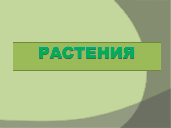 Презентация "Культурные и дикорастущие растения" (1 класс) - Скачать школьные презентации PowerPoint бесплатно | Портал бесплатных презентаций school-present.com