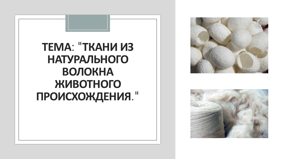 Презентация по технологии на теме "Производство и свойства тканей из натуральных тканей животного происхождения" (учебник Казакевич В.М.) 6 класс - Скачать школьные презентации PowerPoint бесплатно | Портал бесплатных презентаций school-present.com