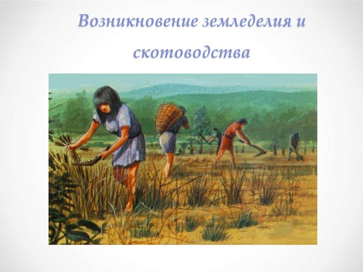 Урок по теме "Возникновение земледелия и скотоводства" - Скачать школьные презентации PowerPoint бесплатно | Портал бесплатных презентаций school-present.com