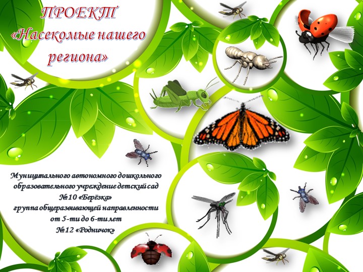 Презентация экологический проект " Насекомые нашего региона" (ст.гр) - Скачать школьные презентации PowerPoint бесплатно | Портал бесплатных презентаций school-present.com