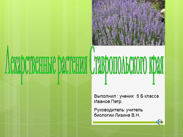 Лекарственные растения Ставропольского края - Скачать школьные презентации PowerPoint бесплатно | Портал бесплатных презентаций school-present.com