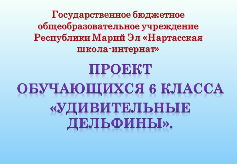 Презентация проекта "Удивительные дельфины" - Скачать школьные презентации PowerPoint бесплатно | Портал бесплатных презентаций school-present.com