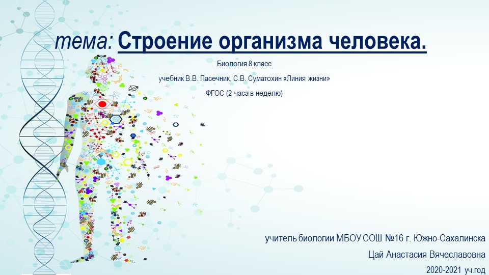 Презентация по биологии на тему "Строение организма человека" (8 класс) - Скачать школьные презентации PowerPoint бесплатно | Портал бесплатных презентаций school-present.com