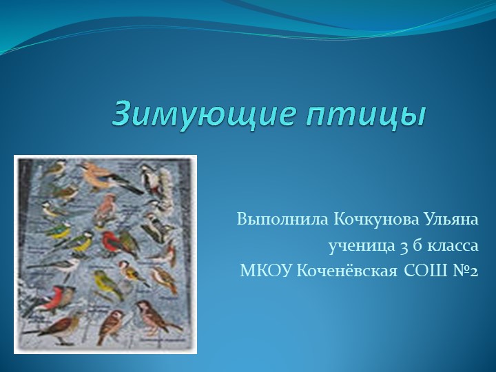 Презентация к уроку окружающий мир "Зимующие птицы" - Скачать школьные презентации PowerPoint бесплатно | Портал бесплатных презентаций school-present.com