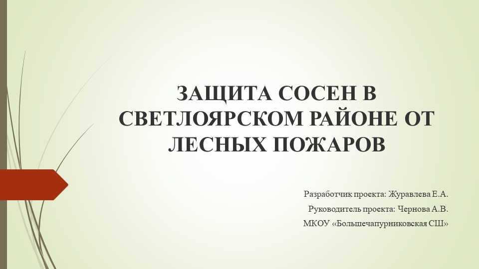 Презентация "Защита сосен в Светлоярском районе от лесных пожаров" - Скачать школьные презентации PowerPoint бесплатно | Портал бесплатных презентаций school-present.com