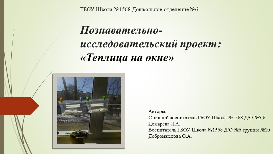 Познавательно-исследовательский проект "Теплица на окне" - Скачать школьные презентации PowerPoint бесплатно | Портал бесплатных презентаций school-present.com