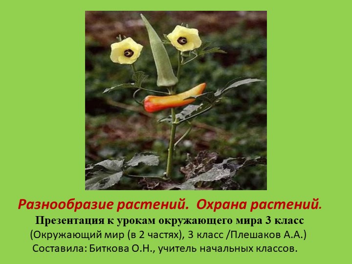 Презентация к уроку окружающего мира на тему "Разнообразие растений. Охрана растений". (3 класс) - Скачать школьные презентации PowerPoint бесплатно | Портал бесплатных презентаций school-present.com