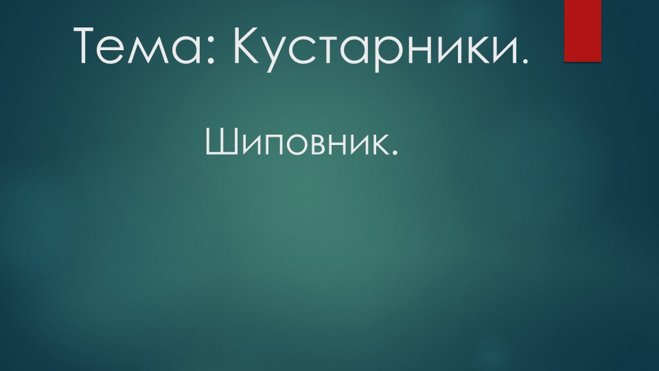 Природные сообщества. Кустарники леса. Шиповник - Скачать школьные презентации PowerPoint бесплатно | Портал бесплатных презентаций school-present.com