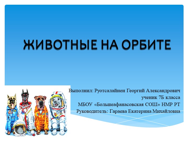 Презентация "Животные на орбите" - Скачать школьные презентации PowerPoint бесплатно | Портал бесплатных презентаций school-present.com