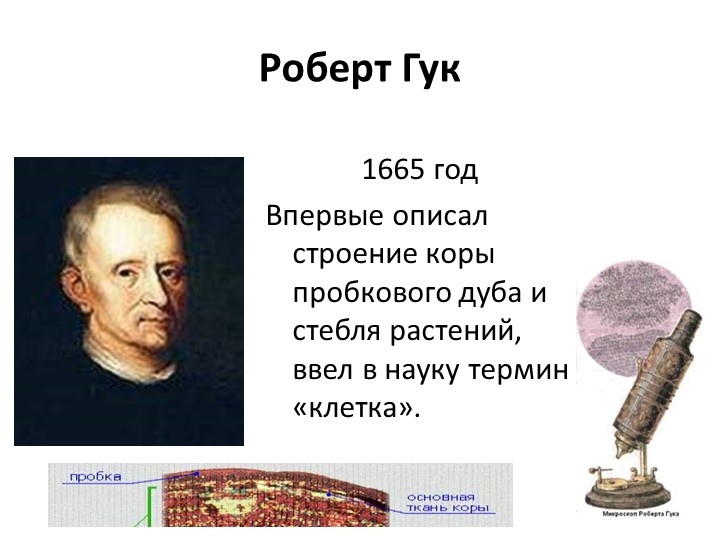 Презентация по биологии 5 кл "Строение клетки" - Скачать школьные презентации PowerPoint бесплатно | Портал бесплатных презентаций school-present.com
